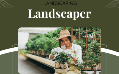 Elevate Your Outdoor Living Space with Edmonton’s Landscapers